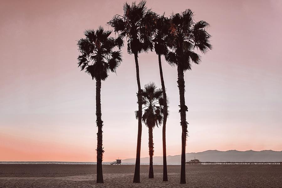 Santa Monica Pinks By Natalie Carpentieri (Small) - Pink