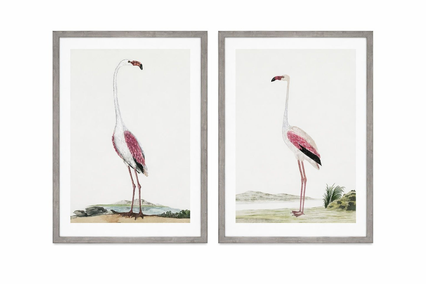 Vintage - Flamingo Framed Print (Set of 2) - Pink