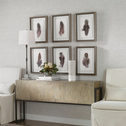 Birds Of A Feather - Framed Prints (Set of 6)