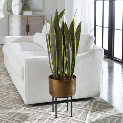 Fasita - Brass Planter (Set of 2) - Green