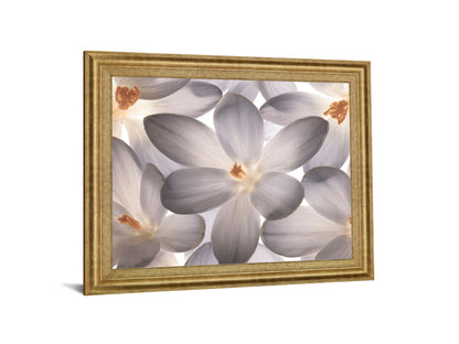 Whispering Blossom - 28" x 34" Framed Wall Art - Gray