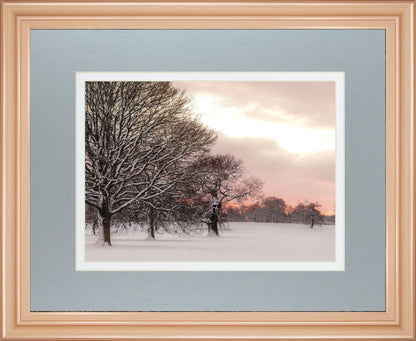 Rosy Sunset By Frank Assaf - Framed Print Wall Art - Gray