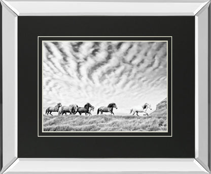 Horse Run III By PHBurchett - Gray