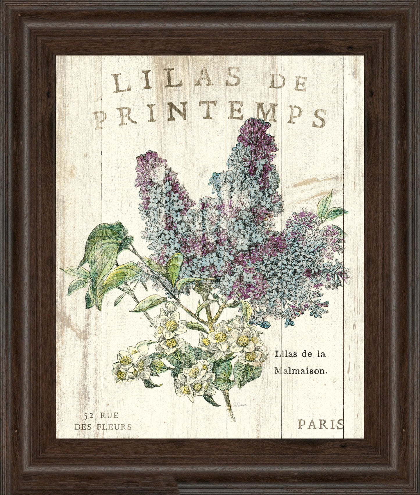 Lilas De Printemps By Sue Schlabach - Beige