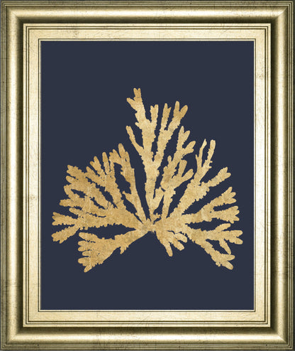 Pacific Sea Mosses IV Indigo By Wild Apple Portfolio - Framed Print Wall Art - Dark Gray