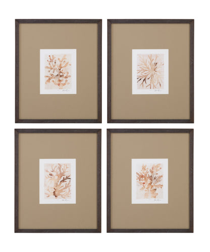 Parchment Coral II Framed Print - Brown