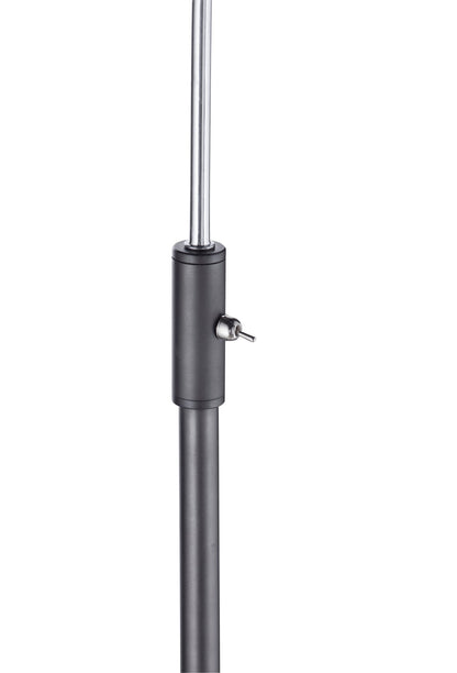 Walden - Floor Lamp - Black
