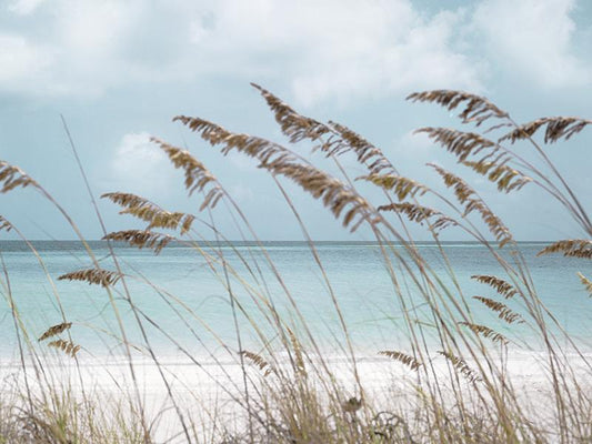 Solitude Beach By Danita Delimont - Light Blue