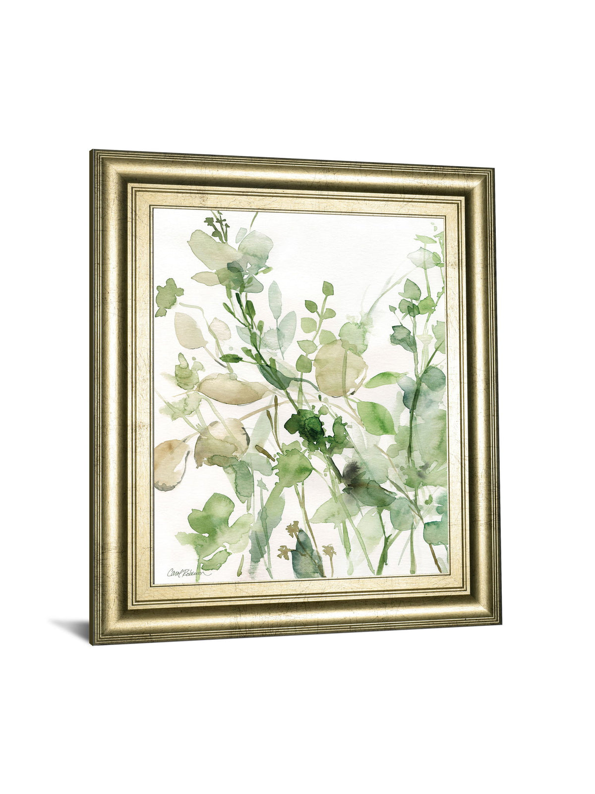 Sage Garden II By Carol Robinson - Framed Print Wall Art - Green