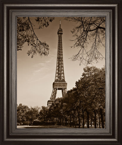 An Afternoon Stroll-pari By Maihara - Real Glass - Light Brown