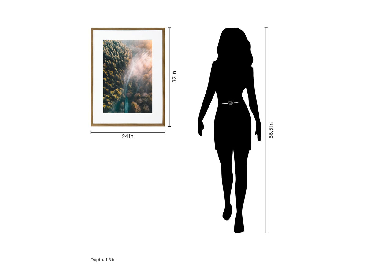 Pinebound Light II - 24 X 32 - Framed Print Under Glass - Green