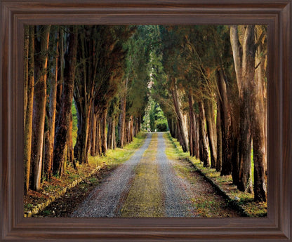 Woodland Passage - 28" x 34" Framed Wall Art - Green