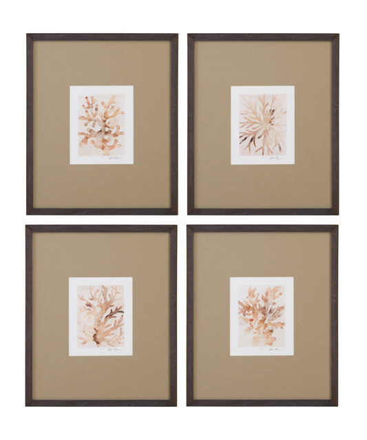 Parchment Coral Framed Print (Set of 4) - Brown