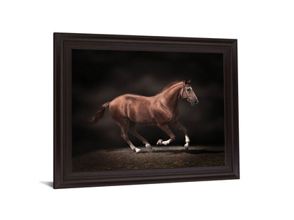 Chestnut Grace - 28" x 34" Framed Wall Art - Dark Brown