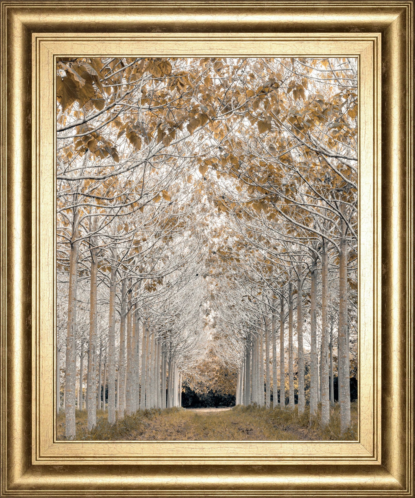 By Assaf Frank - Framed Print Wall Art - Light Brown