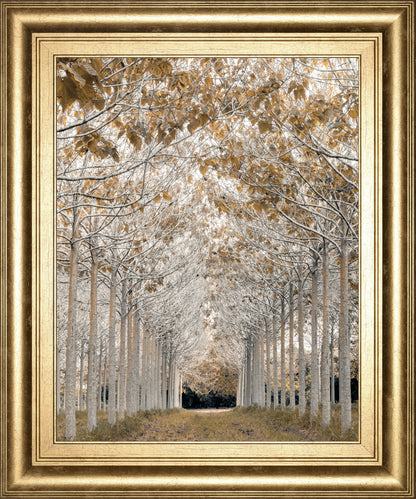 By Assaf Frank - Framed Print Wall Art - Light Brown
