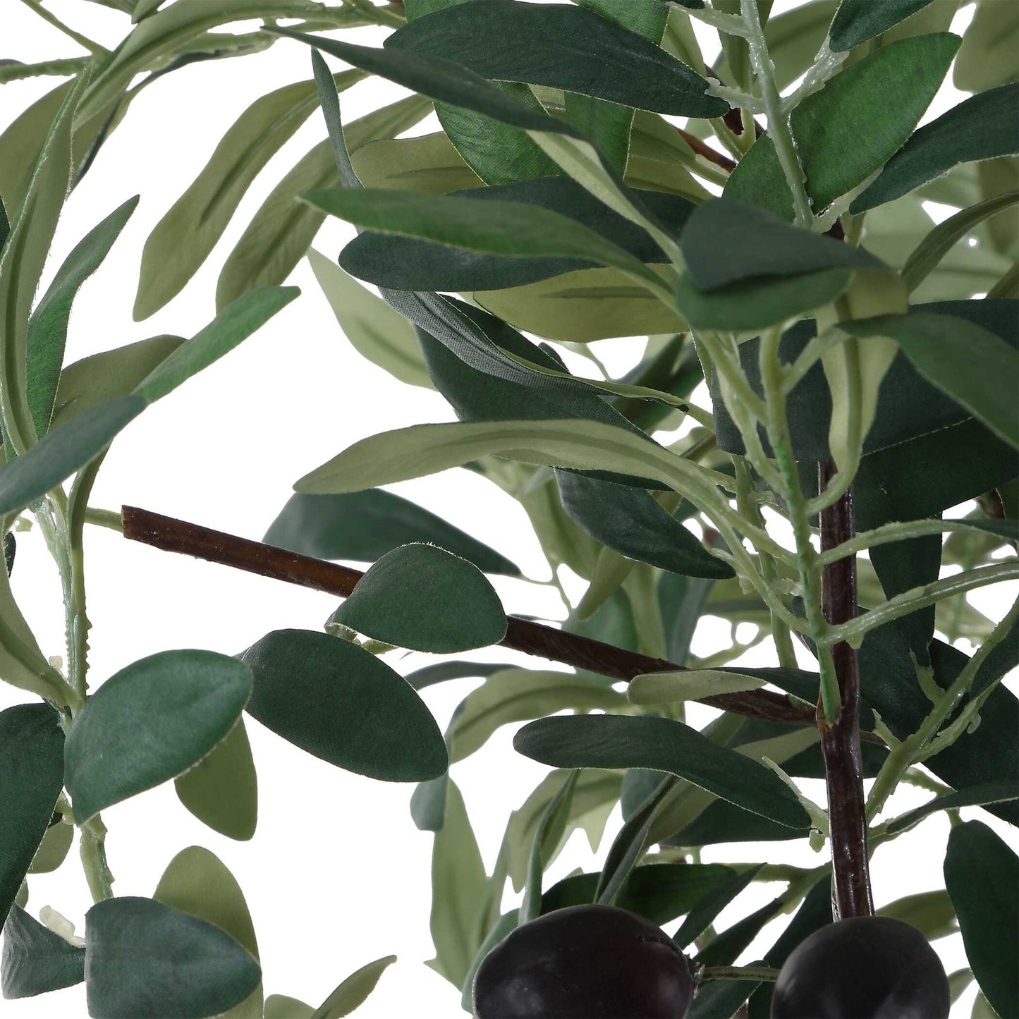Sonora Olive - Tree In Planter - Gray / Green