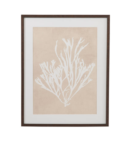 Gracilaria Multipartita Framed Print - Beige