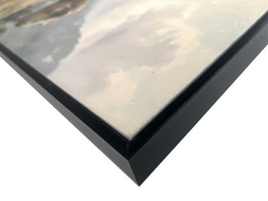 Jurassic Trail II Textured Canvas In Frame - Black / Brown