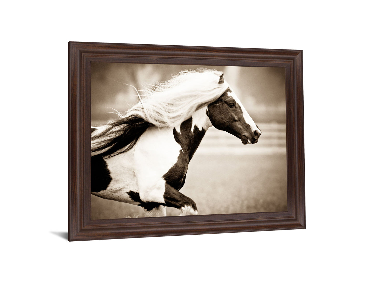 Galloping Spirit - 28" x 34" Framed Wall Art - Dark Brown