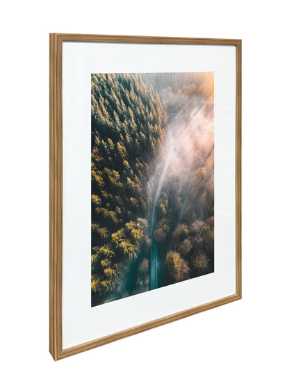 Pinebound Light II - 24 X 32 - Framed Print Under Glass - Green