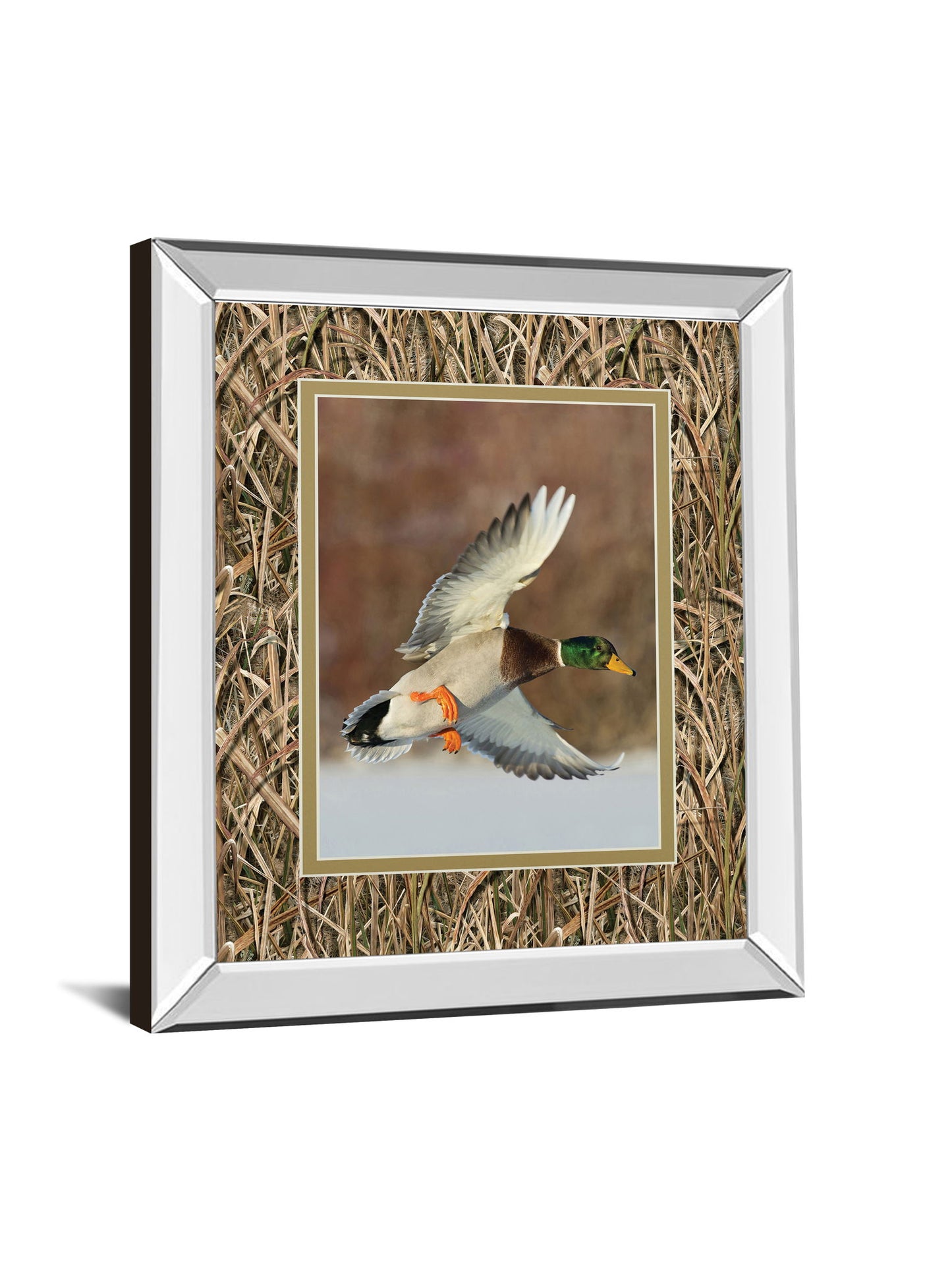 Flying Mallard By Steve Oehlenschlager Mirror Framed Mossy Oak Native Living Print - Light Brown
