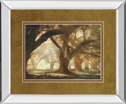 Oak Alley Morning Light By William Guion - Mirror Framed Print Wall Art - Light Brown