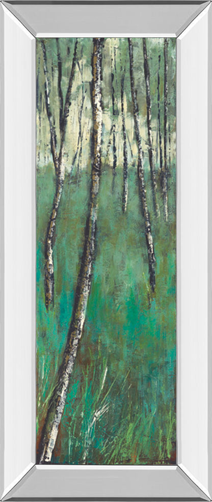 Nature Companion Il By Solis - Mirror Framed Print Wall Art - Green