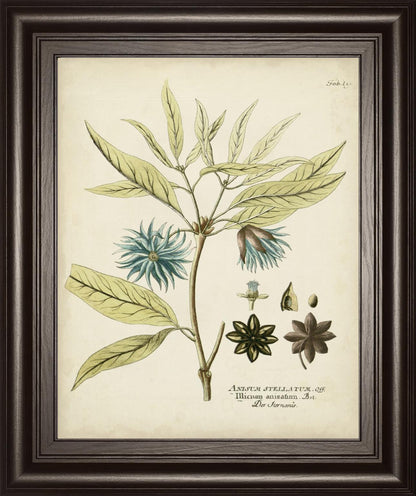 22x26 Eloquent Botanical III By Vision Studio - Beige