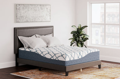 14 Inch Chime Elite 2.0 - California King Mattress - White / Blue