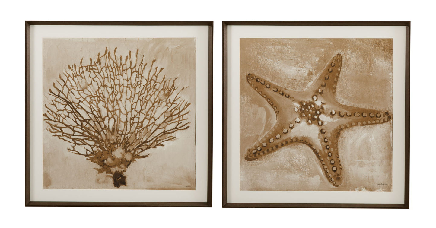 Neutral Seafan Framed Print - Light Brown