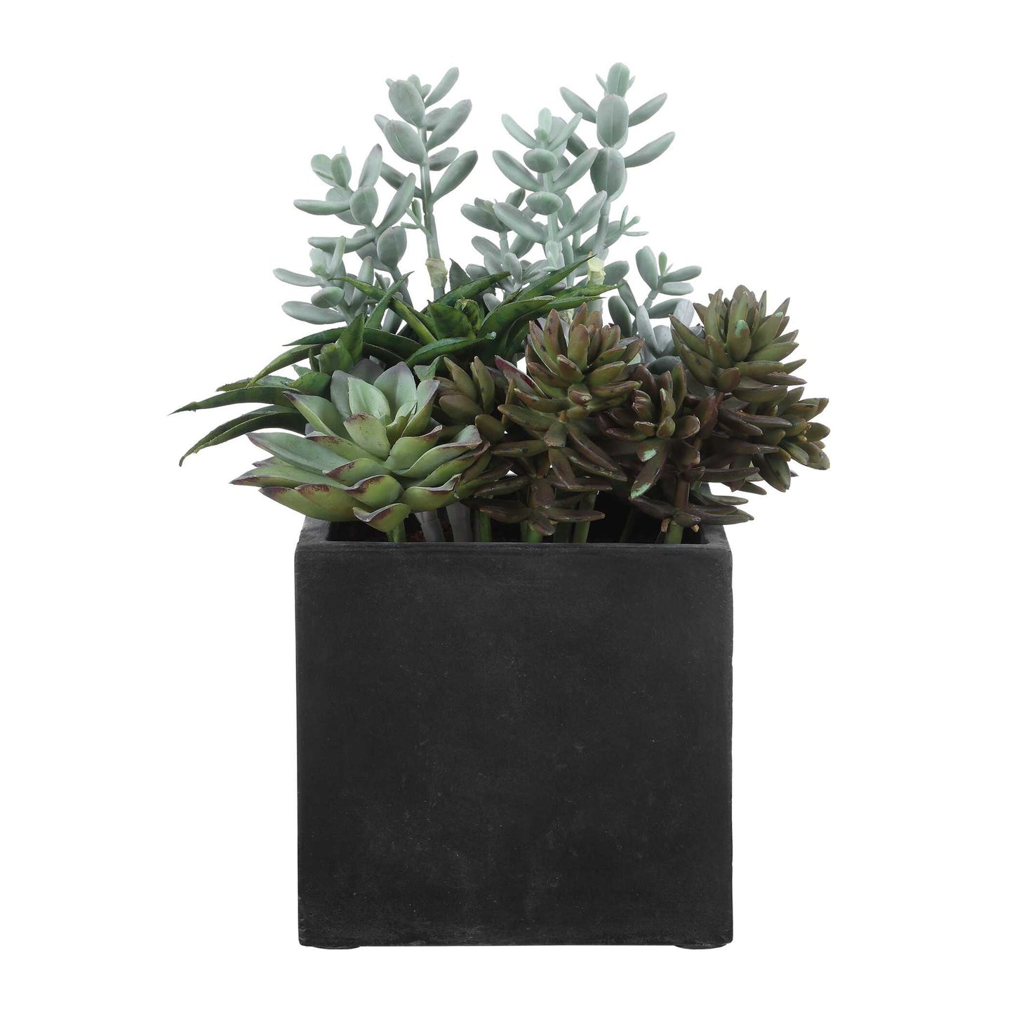 Greystone - Indoor-Outdoor Succulent - Green