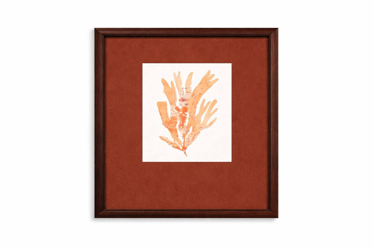 Ochre Coral Framed Print - Red