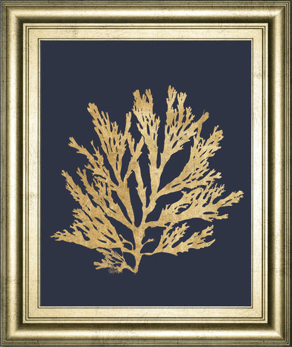 Pacific Sea Mosses I Indigo By Wild Apple Portfolio - Framed Print Wall Art - Dark Gray