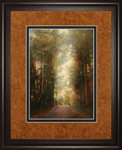 Road Of Mysteries Il By Amy Melious - Framed Print Wall Art - Light Brown