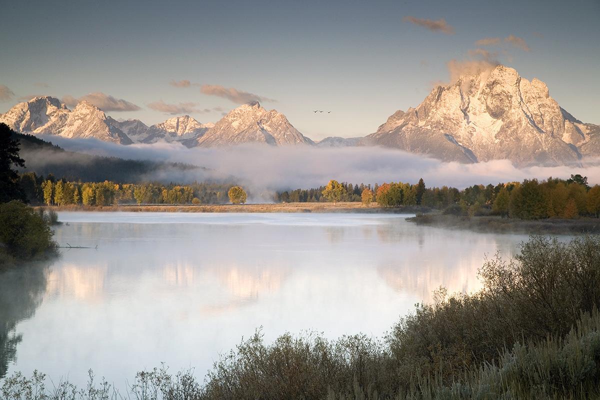Snake River Fog By Danita Delimont (Framed) - Gray