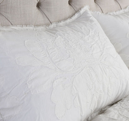 Matira - Standard Sham - Antique Cream