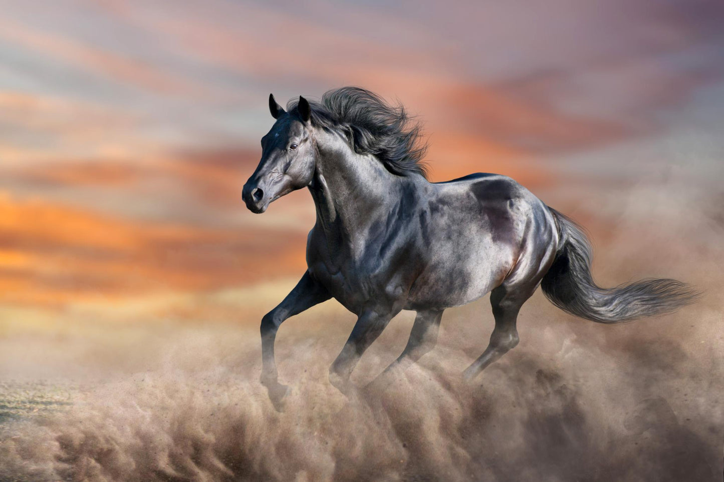 Tempered Glass With Foil - Running Horse - Light Brown