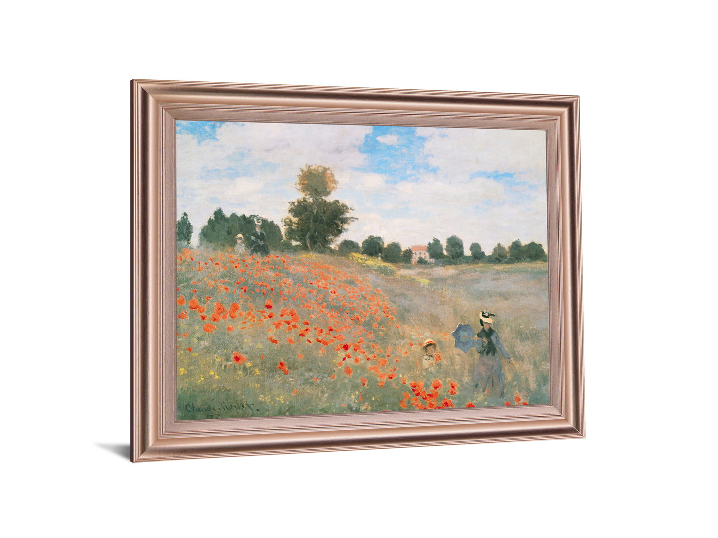 Poppy Field Stroll - 28" x 34" Framed Wall Art - Green